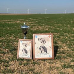 WhatsApp Image 2026-04-12 at 18.43.20