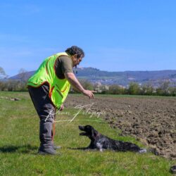 WhatsApp Image 2026-04-12 at 18.51.02