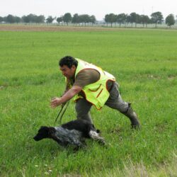 WhatsApp Image 2026-04-12 at 18.54.00