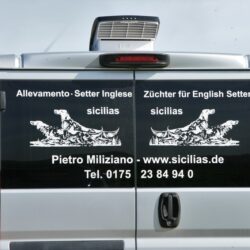 WhatsApp Image 2026-04-12 at 18.55.12